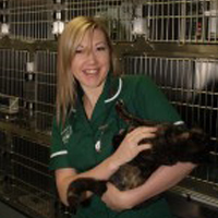 Stephanie Harte - Veterinary Nurse
